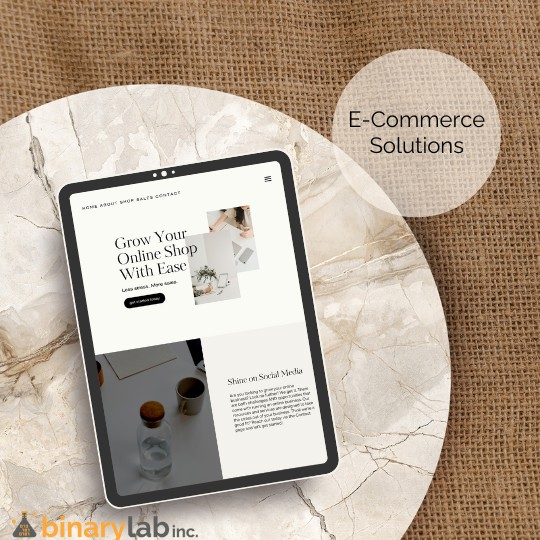 e-commerce solutions development