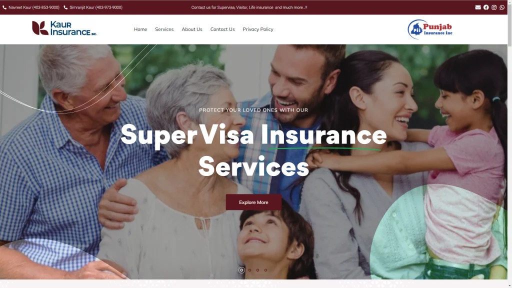 insurance agent web design portfolio websites